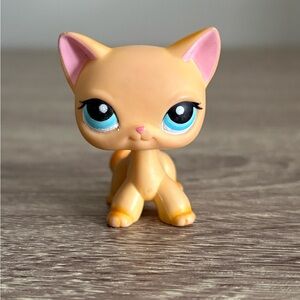 Littlest Pet Shop Shorthair Cat #339